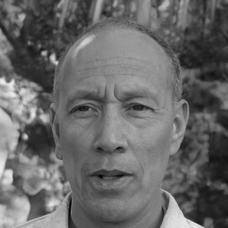 Portret eksperta Halulio
